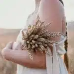 vergine